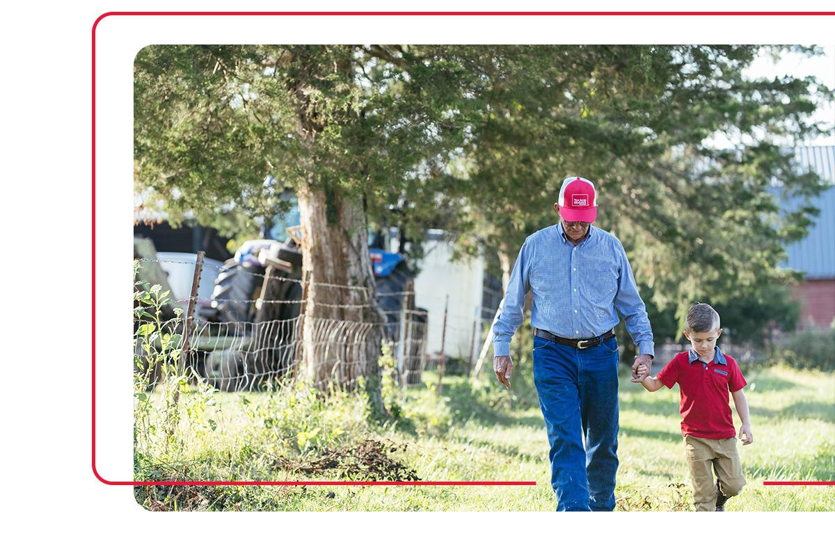 Grandfather walking on farm holding hand of grandson