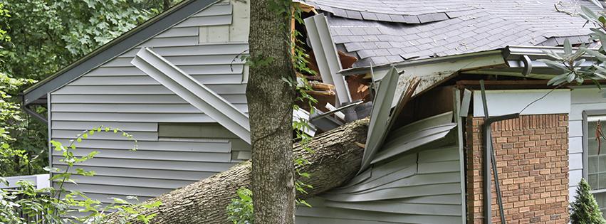 Damaged roof and exterior of house from tree falling