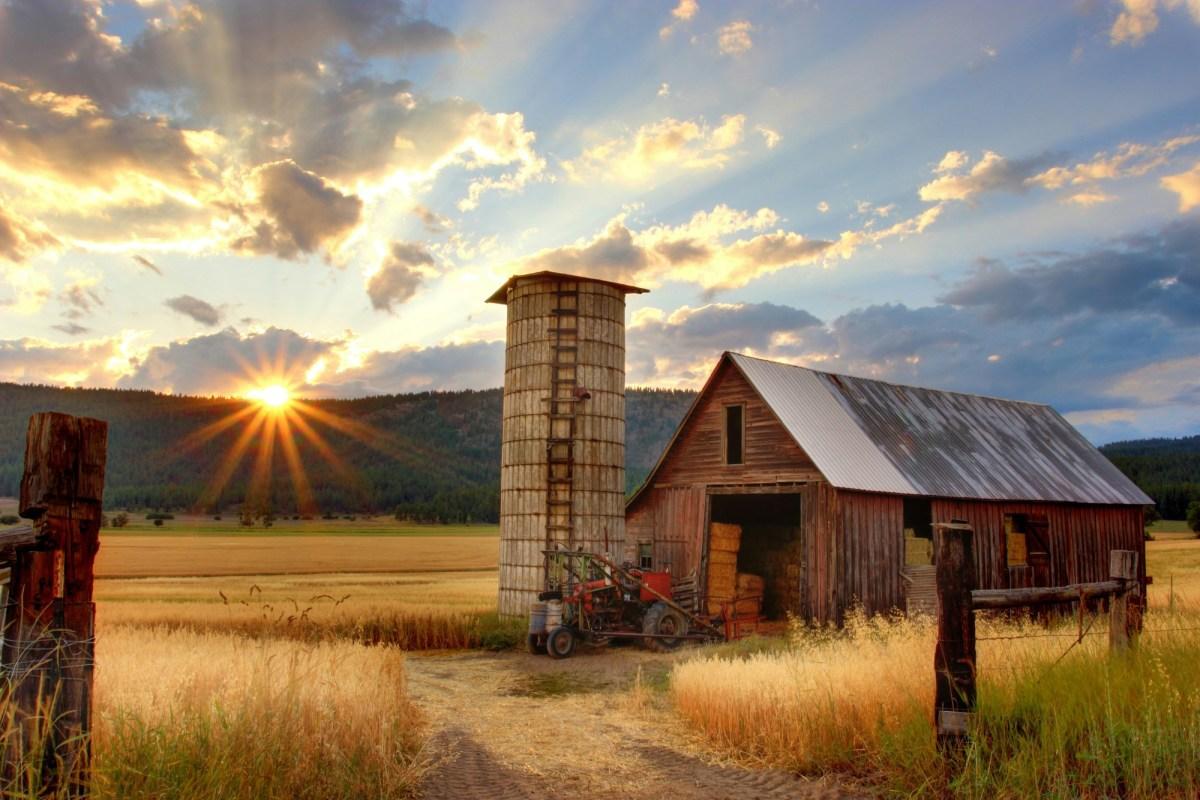 Barn in field at sunset
